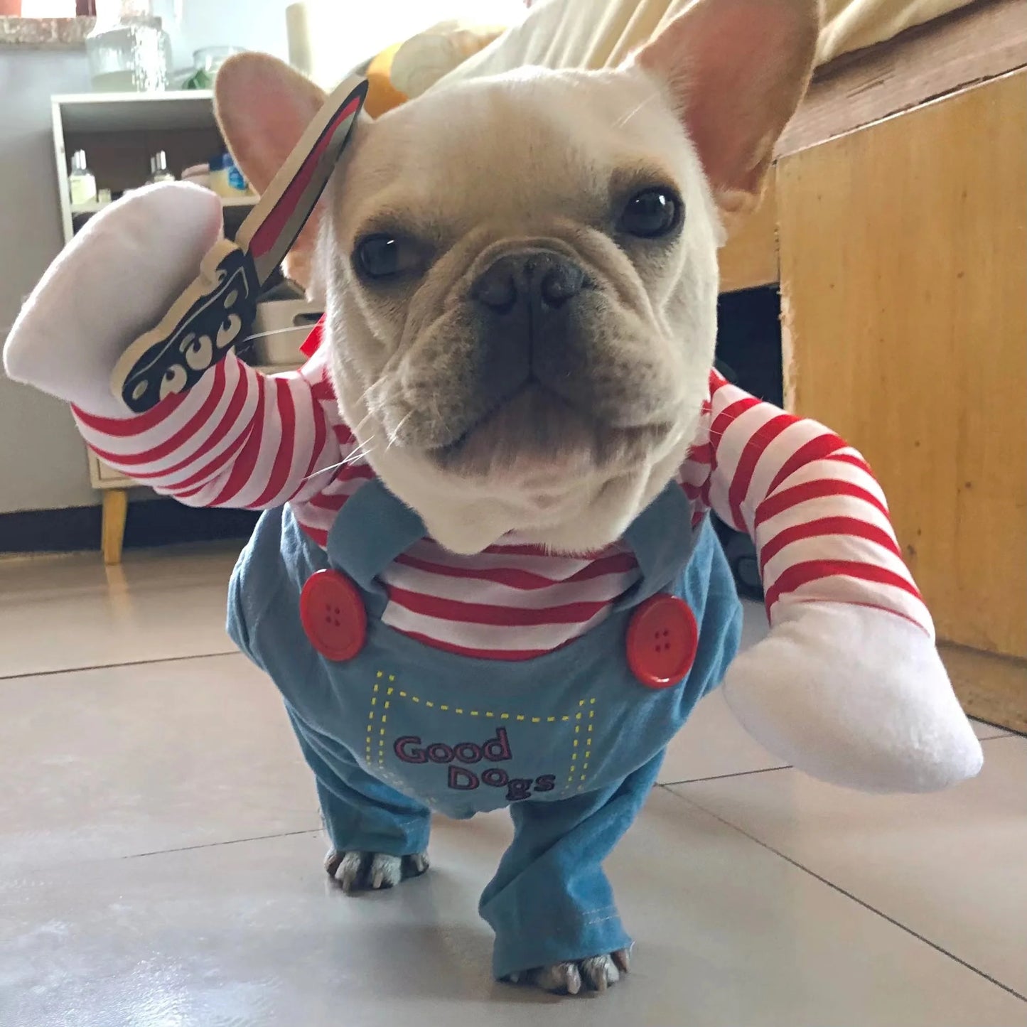 Halloween Cosplay Costume for Dogs & Cats