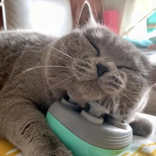 Electric Cat Massager Head