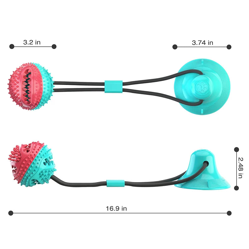 Interactive toy ball on a rope with suction cups