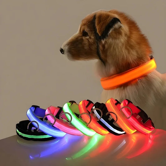 LED Dog Collar Nylon